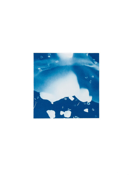 STUDIO SOMMER Original Cyanotype Edition N°2/26 – STELLAR TIDE – 12x12cm