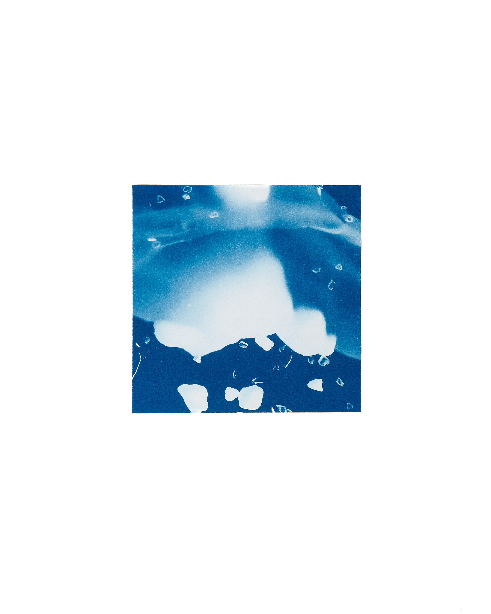 STUDIO SOMMER Original Cyanotype Edition N°2/26 – STELLAR TIDE – 12x12cm