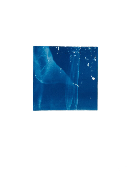 STUDIO SOMMER Original Cyanotype Edition N°1/26 – STELLAR TIDE – 12x12cm