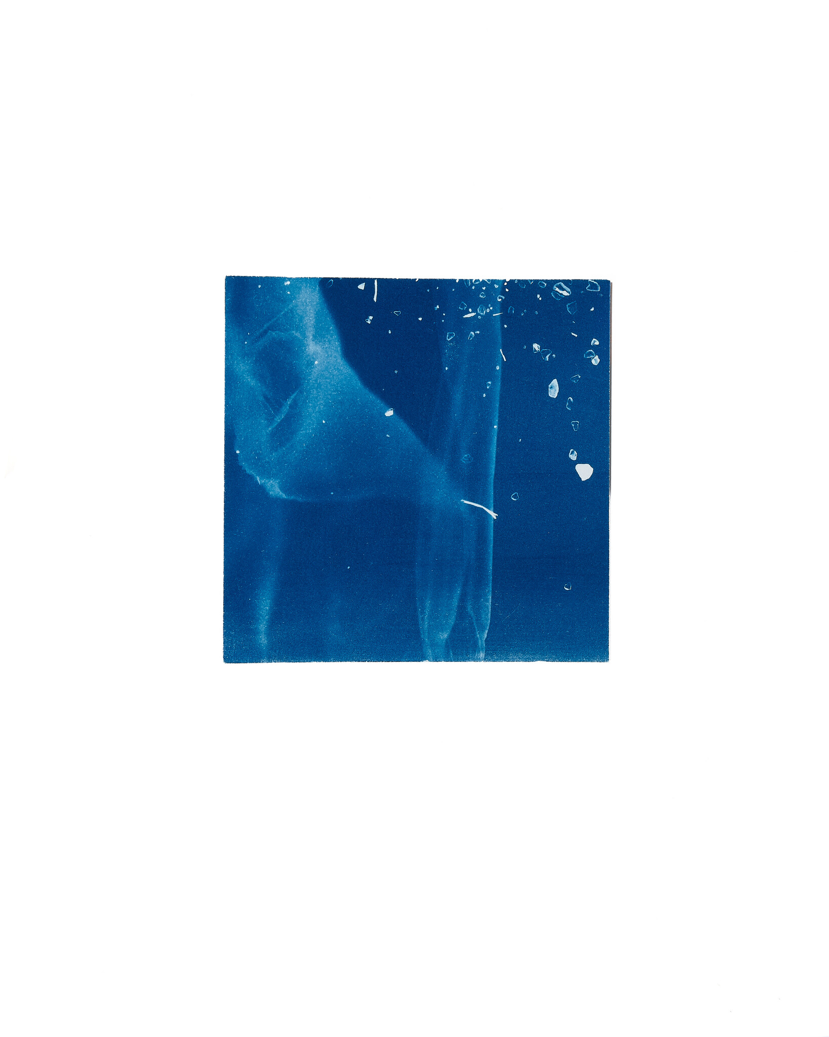 STUDIO SOMMER Original Cyanotype Edition N°1/26 – STELLAR TIDE – 12x12cm