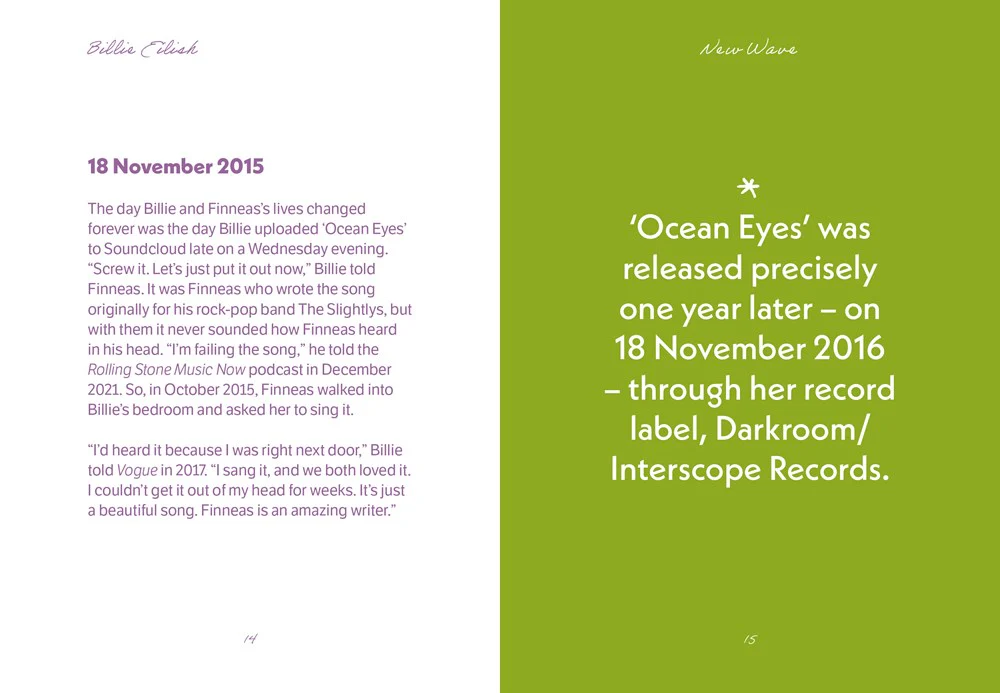 The Pocket Billie Eilish