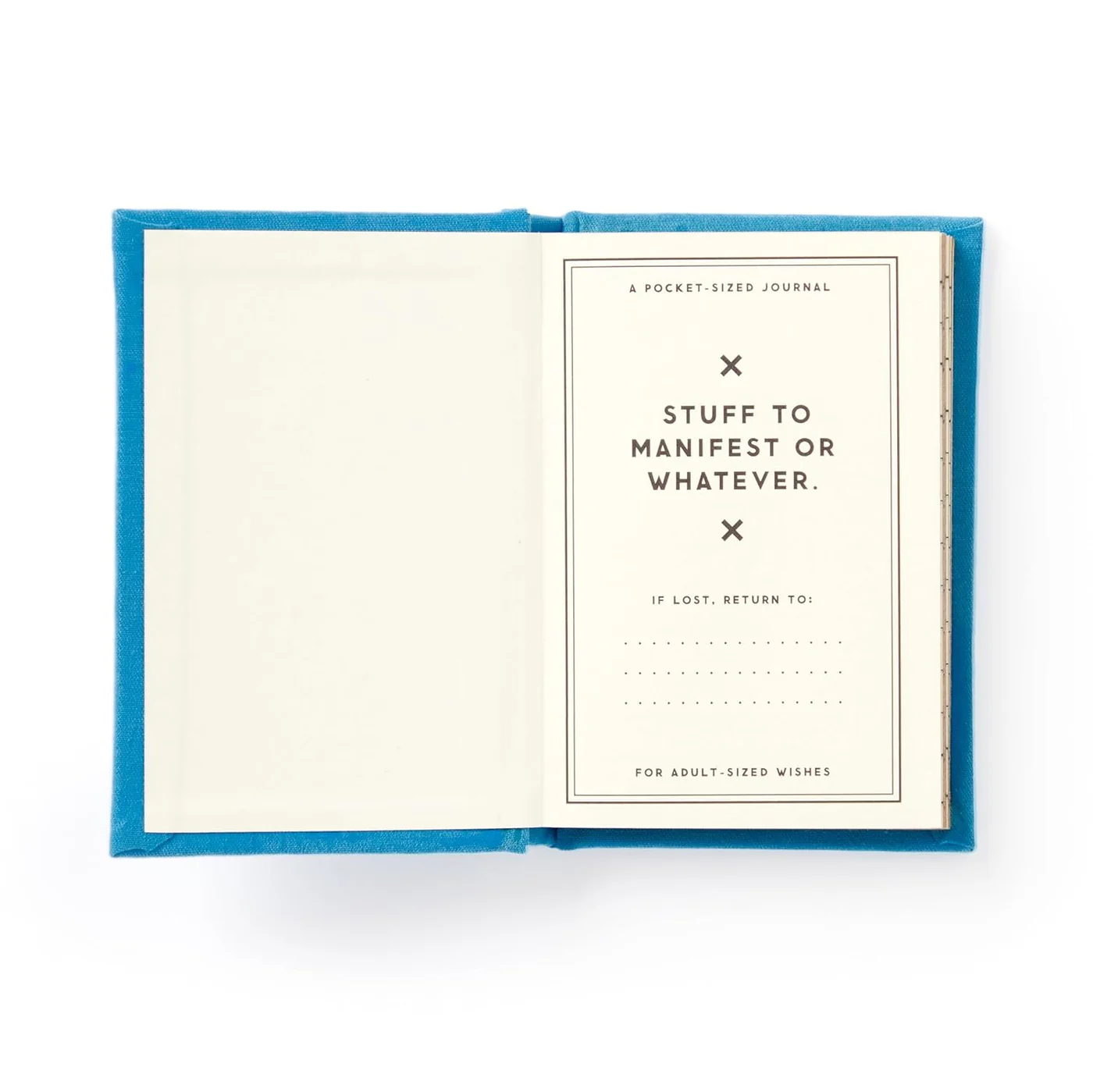 Tiny Hopes and Dreams