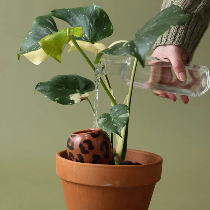 PEPIN. OYA Wasserspender aus Terrakotta –  Leopardenmuster