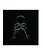 NÉ RECORDS Beach House – Become