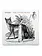 NÉ RECORDS Lhasa – Living Road