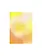 HERR UND FRAU RIO Riso Karte Thank You & transparentes Couvert