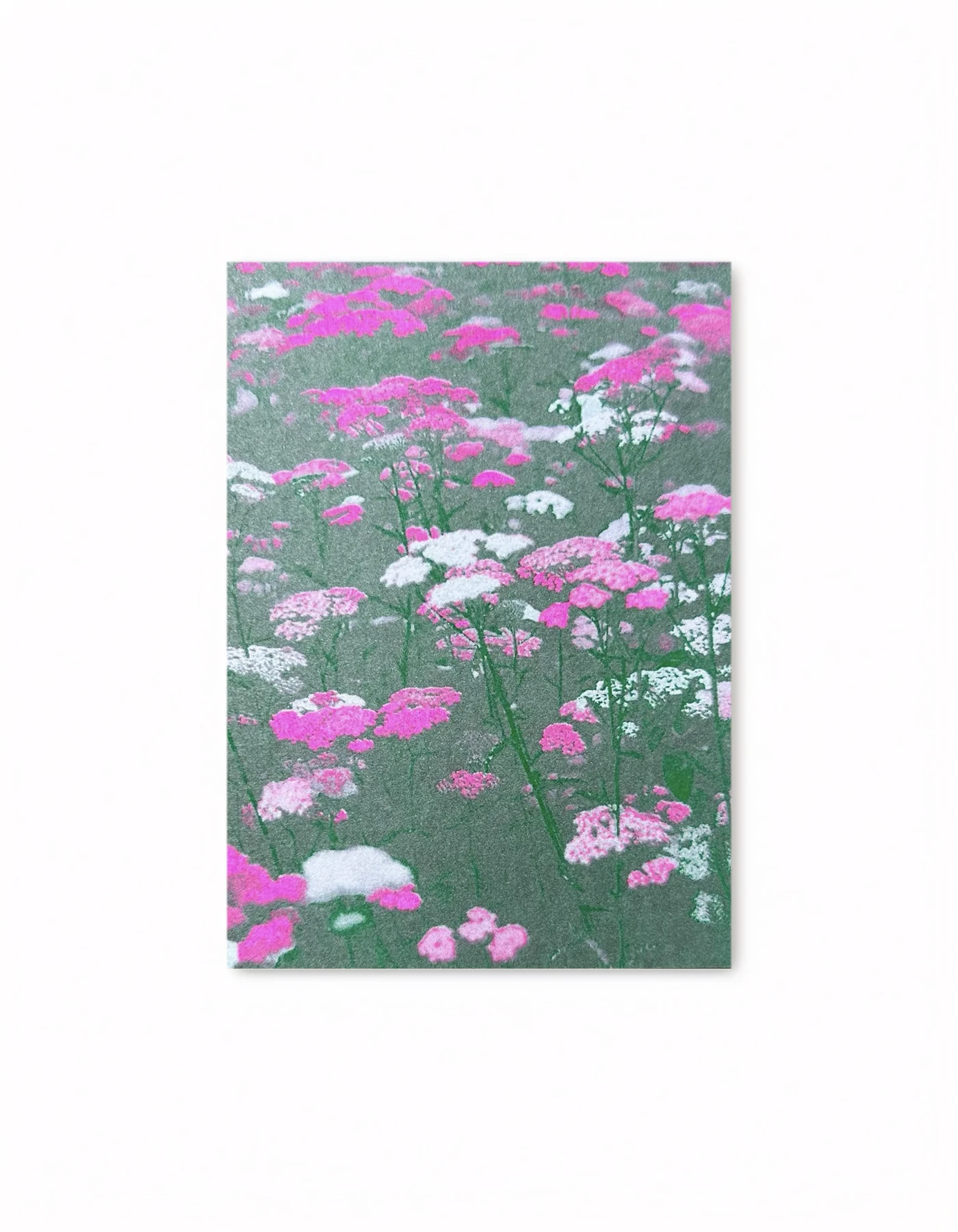 HERR UND FRAU RIO Riso Karte Blumenwiese grün/pink & transparentes Couvert
