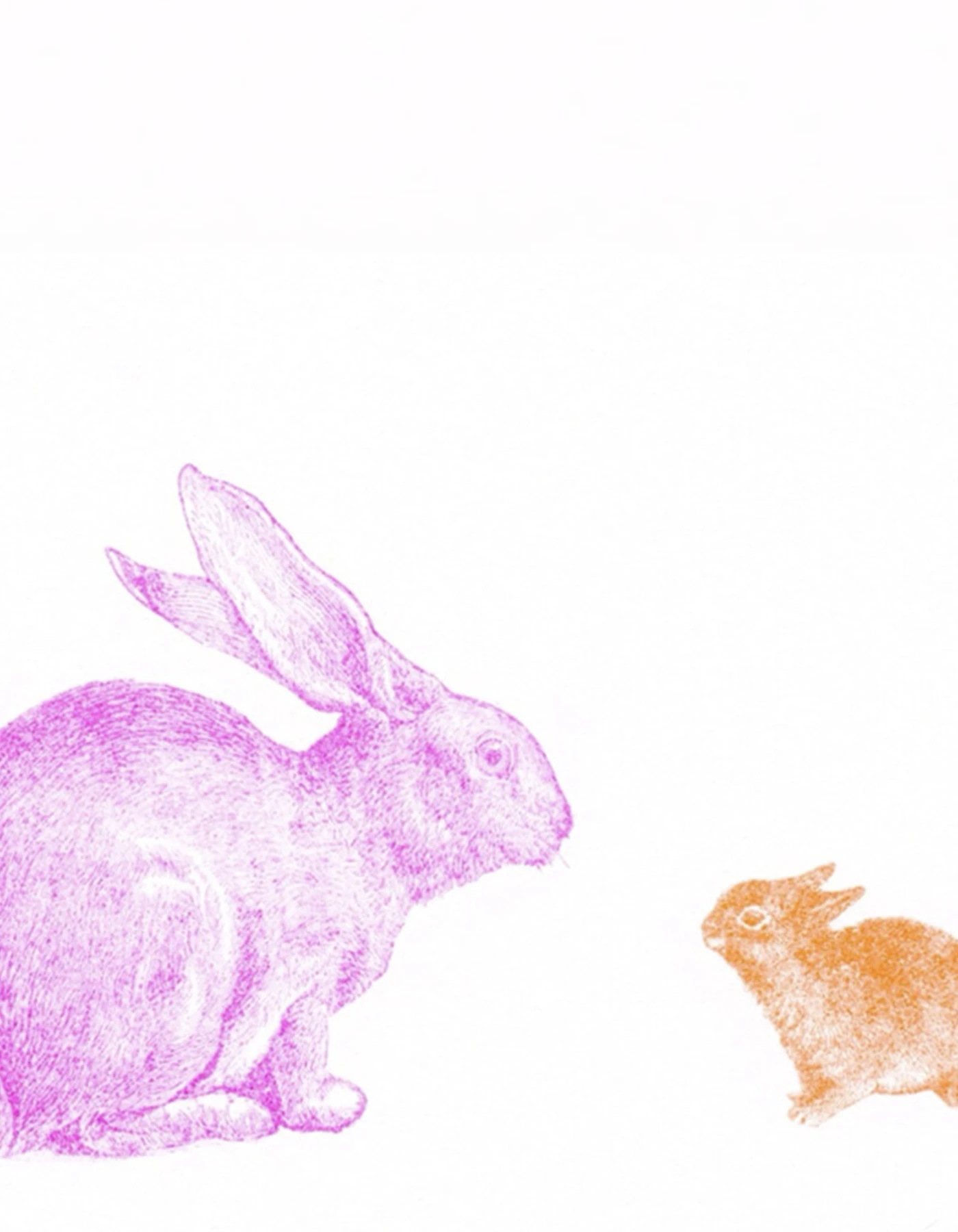 HERR UND FRAU RIO Riso Karte Mama & Baby Hase & transparentes Couvert
