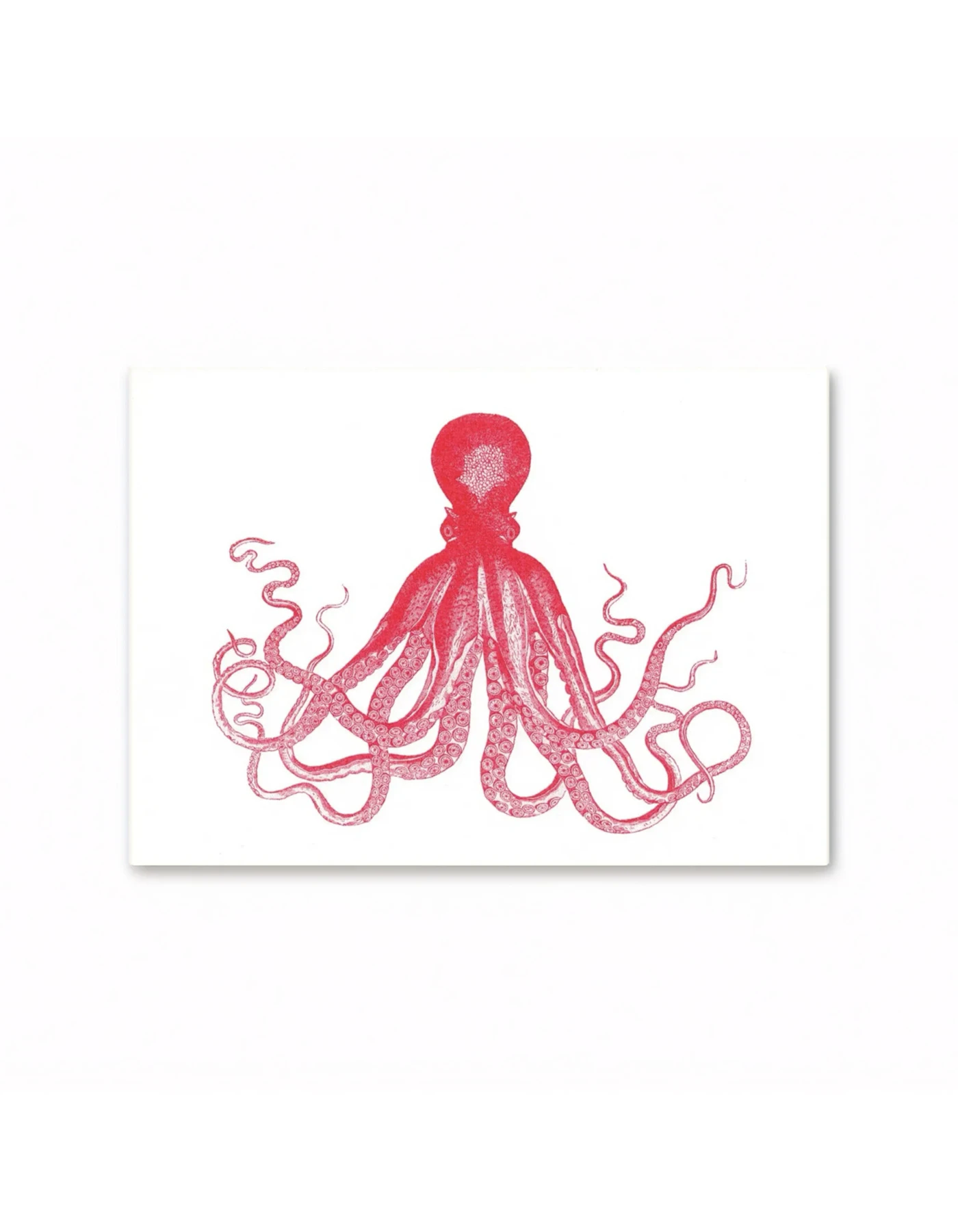 HERR UND FRAU RIO Riso Karte Oktopus & transparentes Couvert