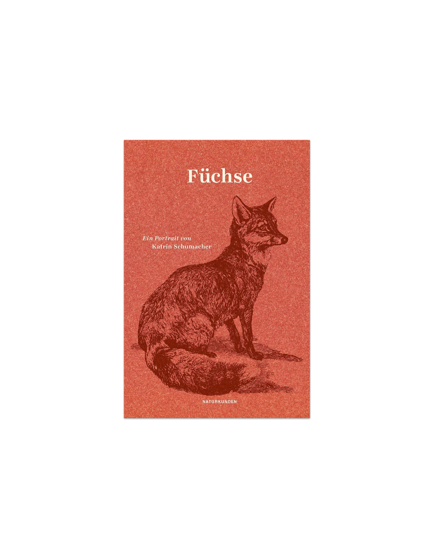 Füchse – Ein Portrait von Katrin Schumacher