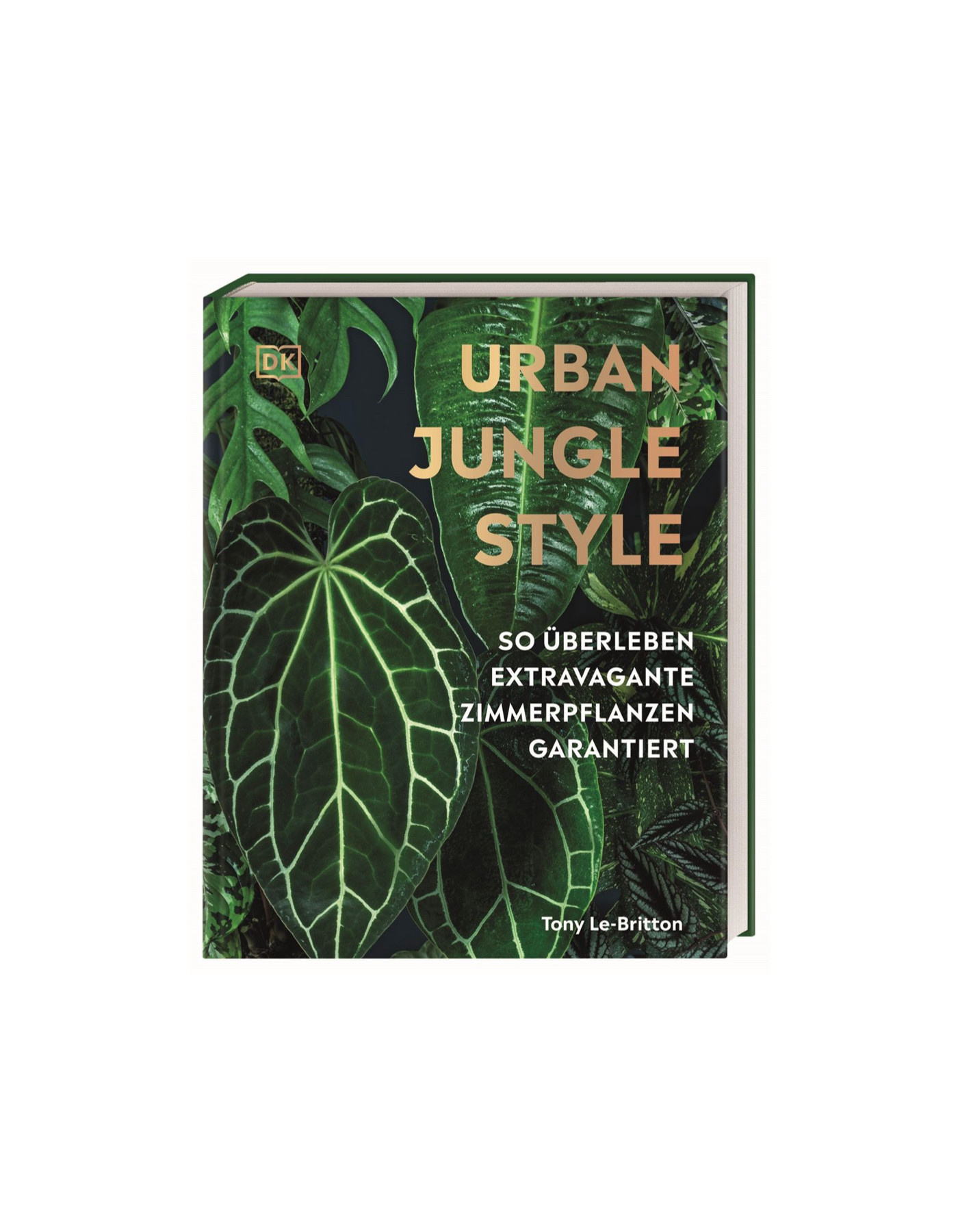 Urban Jungle Style