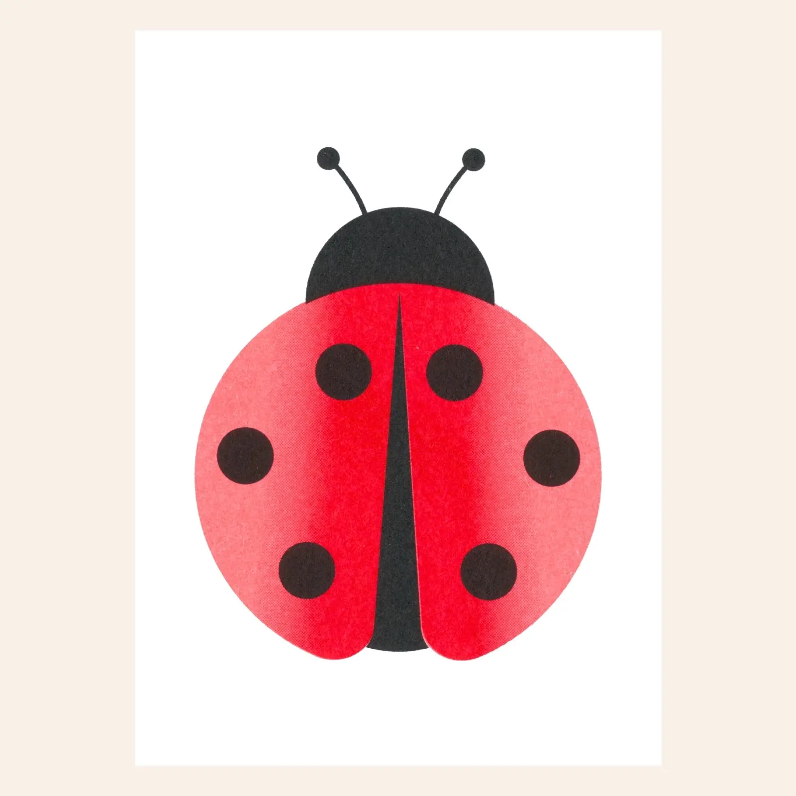 HERR UND FRAU RIO Riso Karte Ladybug & transparentes Couvert