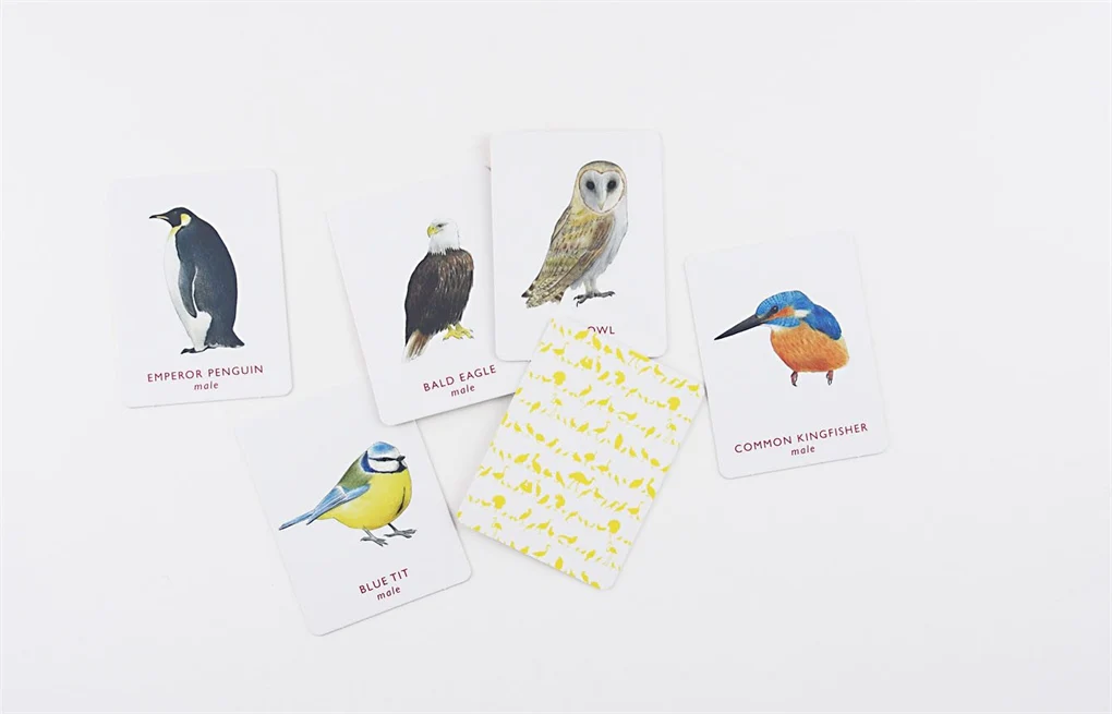 Match a pair of birds