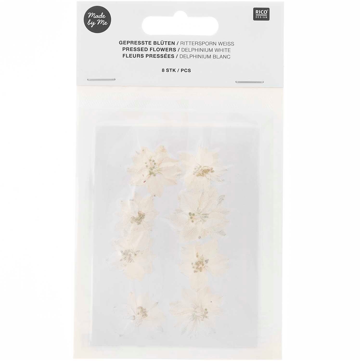 RICO DESIGN Gepresste Pflanzen – Rittersporn Weiss