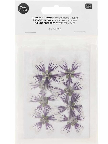RICO DESIGN Gepresste Pflanzen – Stockrose Violett