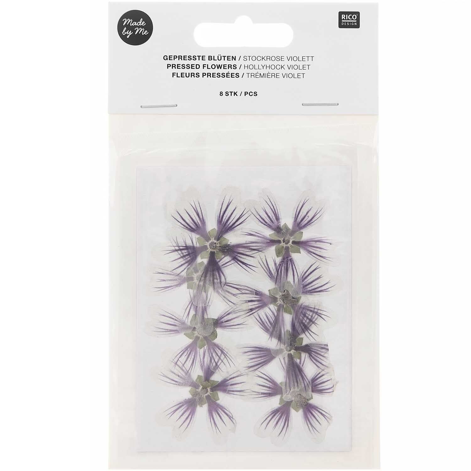 RICO DESIGN Gepresste Pflanzen – Stockrose Violett