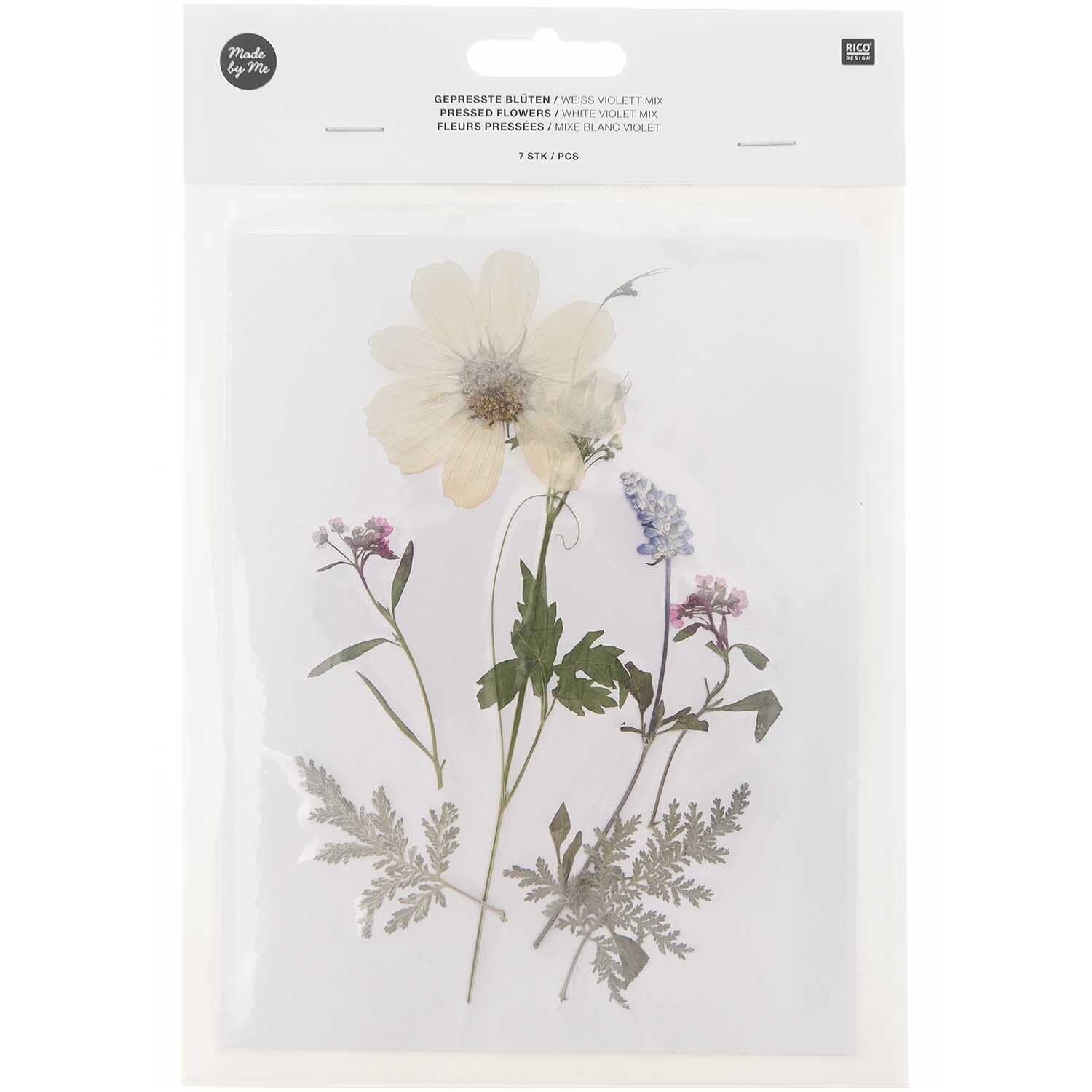 RICO DESIGN Gepresste Pflanzen – Mix Weiss/Pink