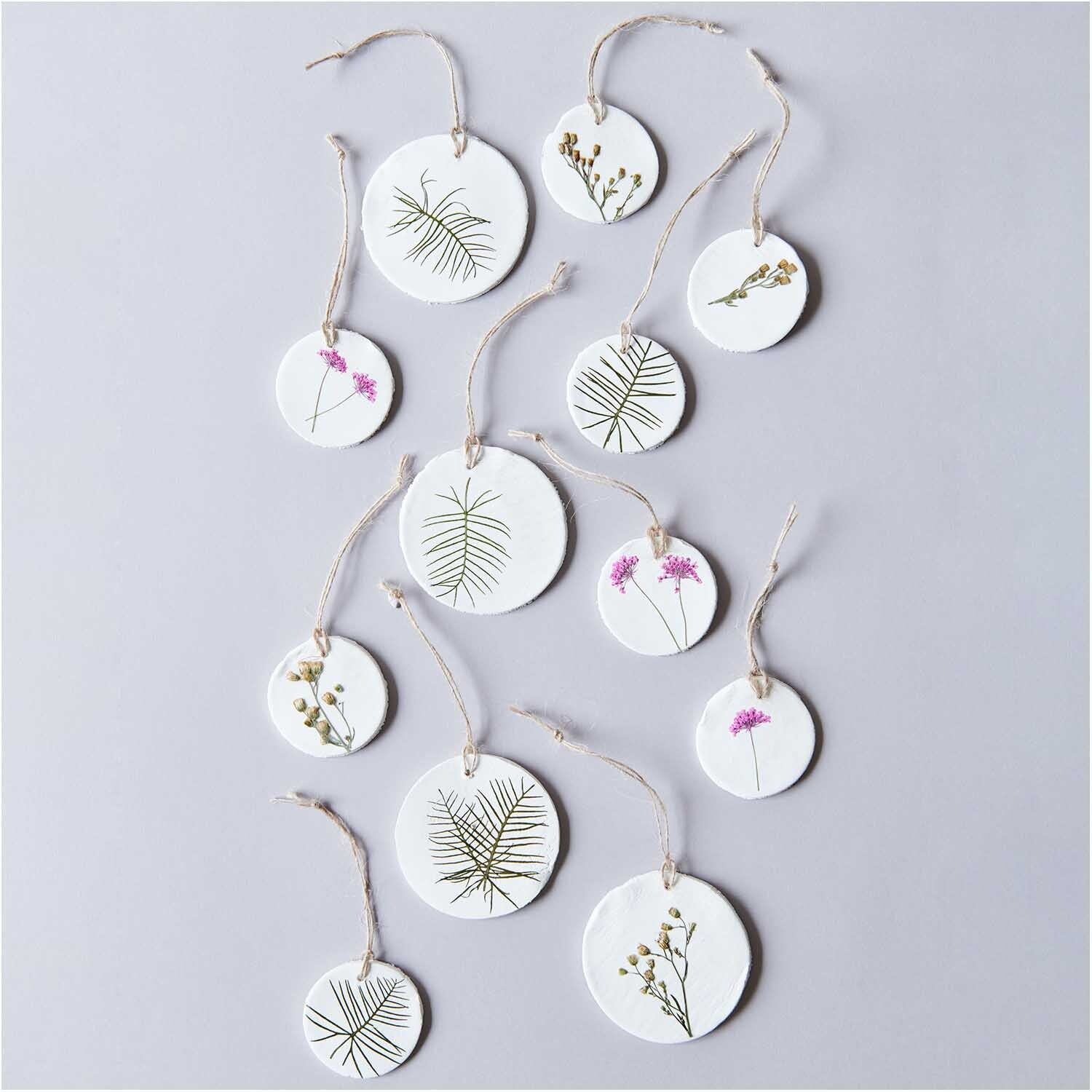 RICO DESIGN Gepresste Pflanzen – Ammi Pink