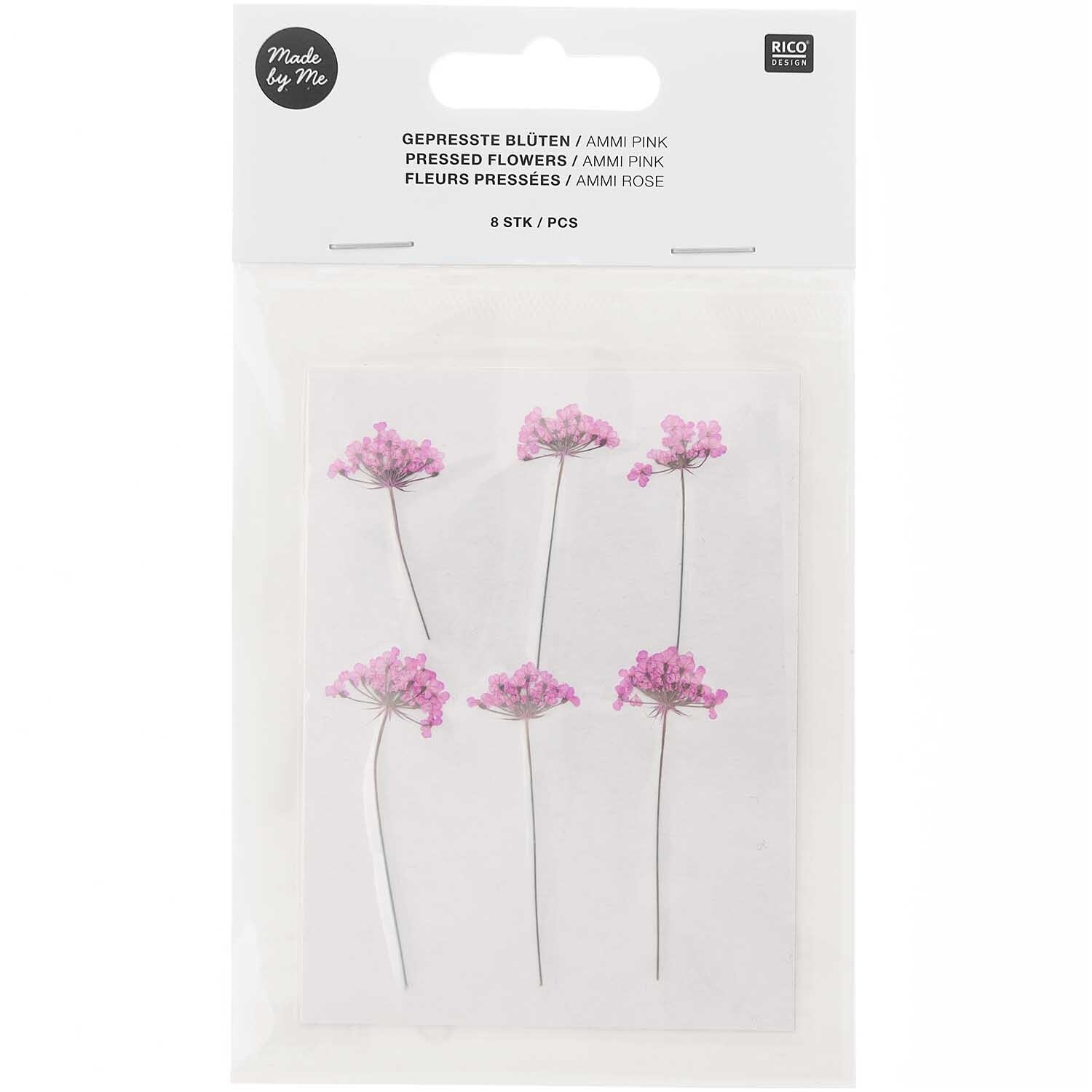 RICO DESIGN Gepresste Pflanzen – Ammi Pink