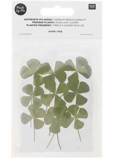 RICO DESIGN Gepresste Pflanzen – Vierblättriges Kleeblatt