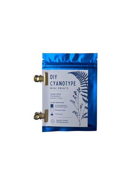 NOUVEL ÉTÉ DIY Cyanotypie MINI PRINTS