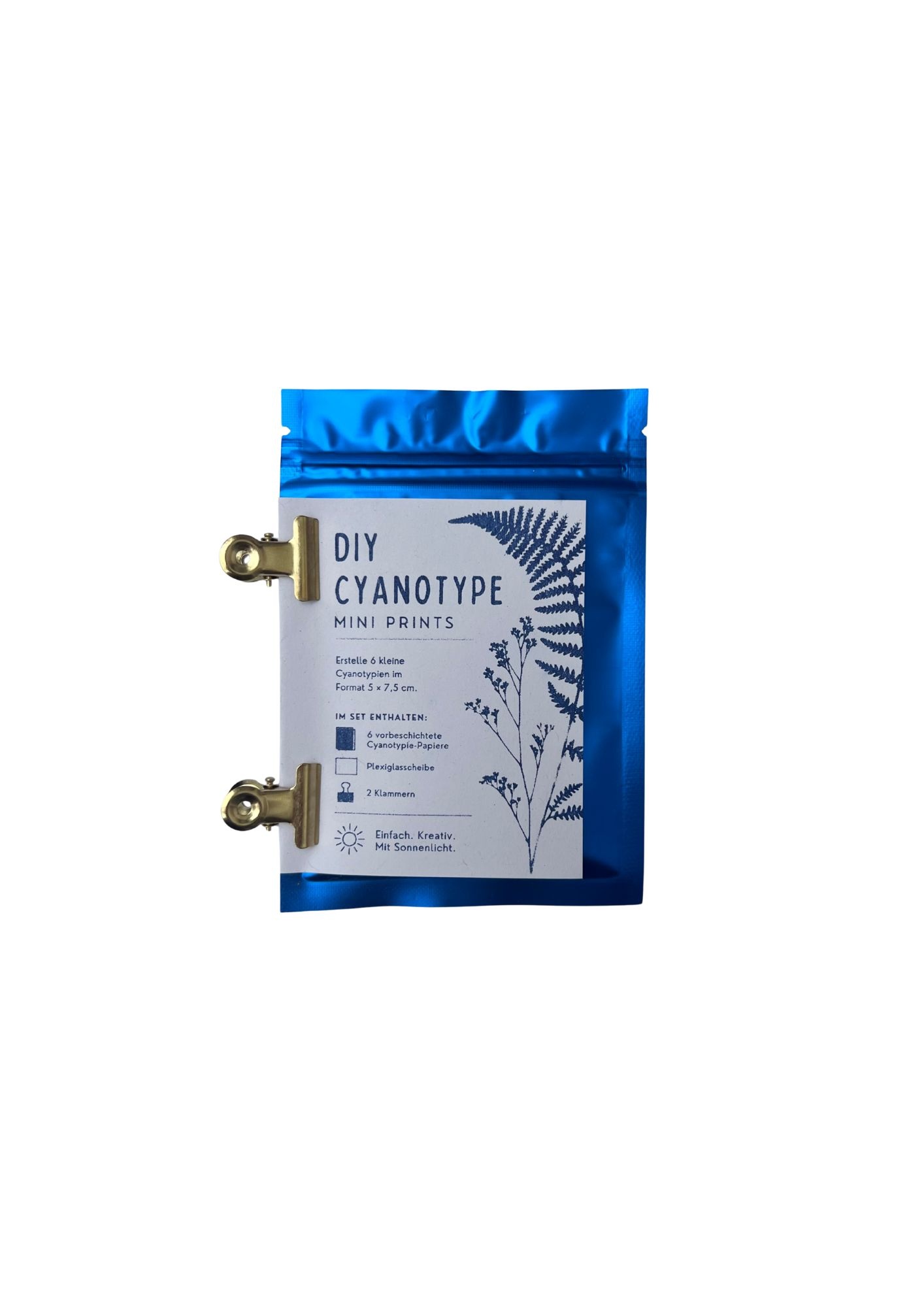 NOUVEL ÉTÉ DIY Cyanotypie MINI PRINTS