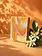 SAVONNERIE DE LA BUÈGES Savon Fleur d'Oranger / Orangenblütenseife aus Frankreich – 100g