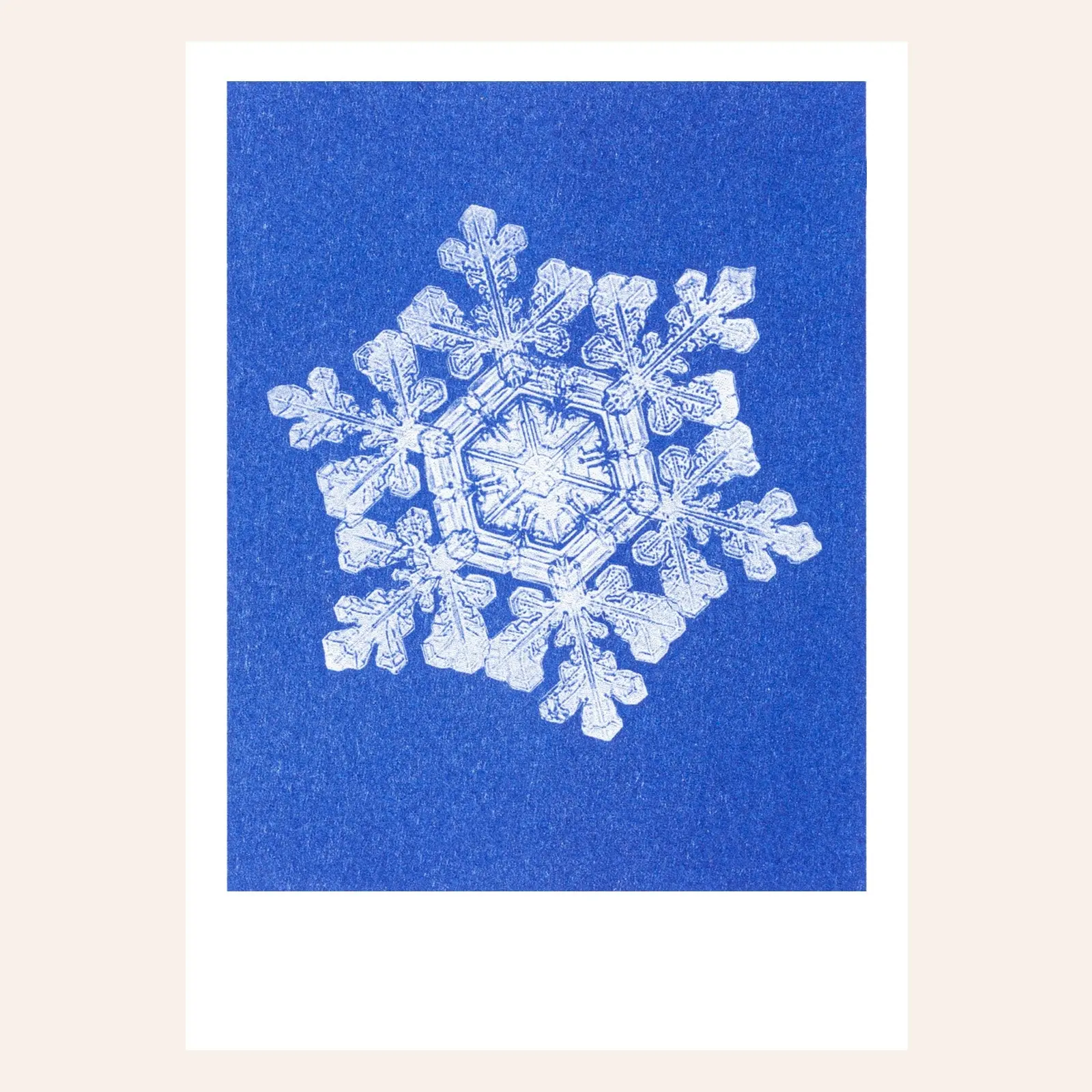 HERR UND FRAU RIO Riso Karte Schnee & transparentes Couvert