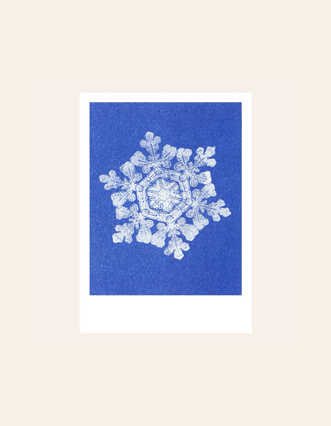 HERR UND FRAU RIO Riso Karte Schnee & transparentes Couvert