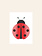 HERR UND FRAU RIO Riso Karte Ladybug & transparentes Couvert