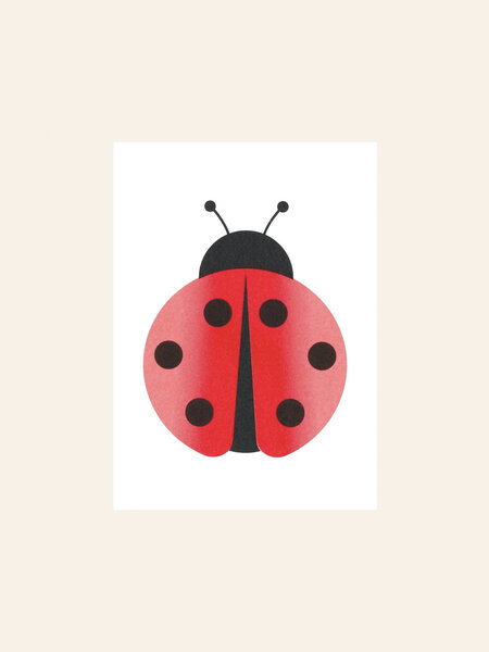 HERR UND FRAU RIO Riso Karte Ladybug & transparentes Couvert