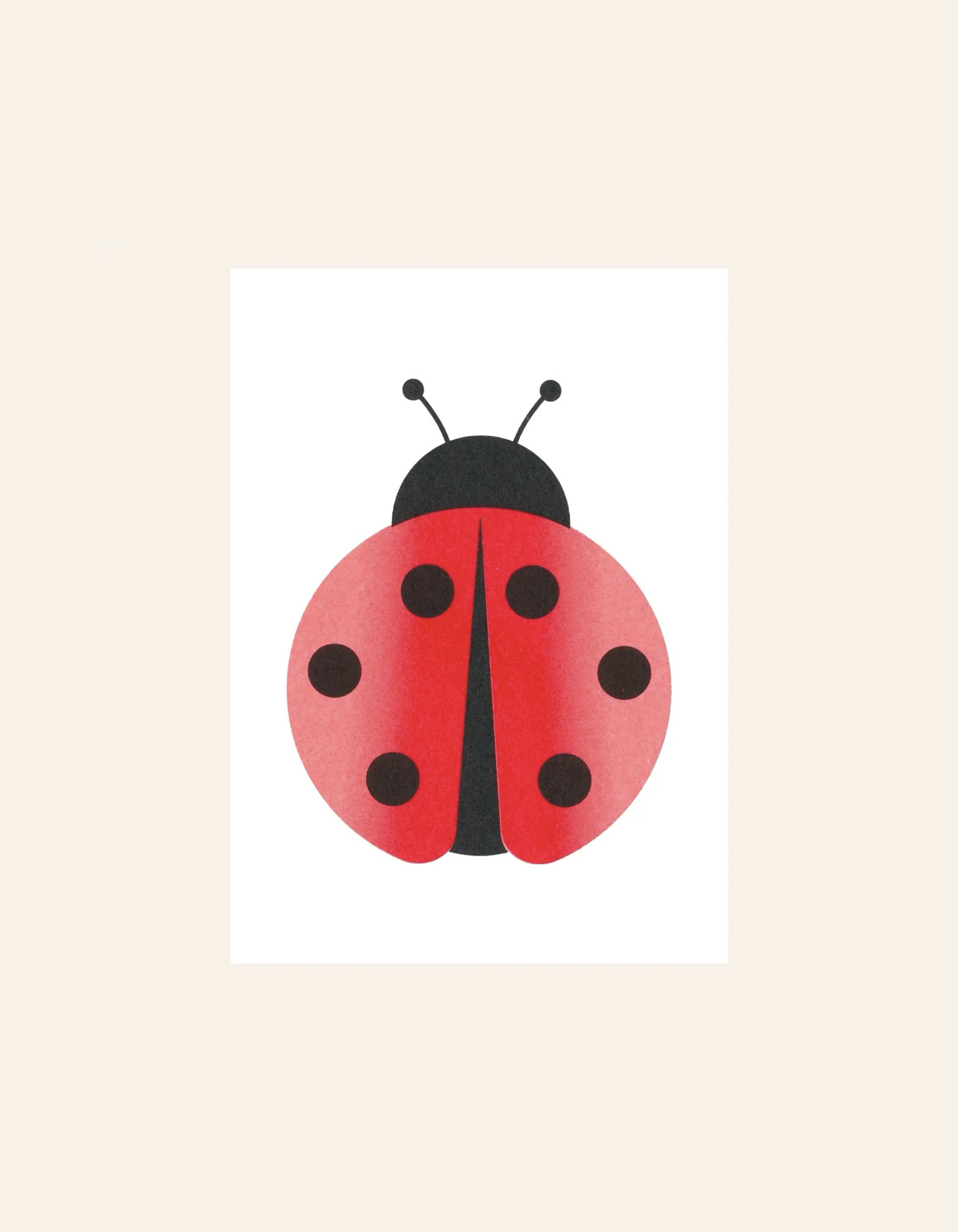 HERR UND FRAU RIO Riso Karte Ladybug & transparentes Couvert