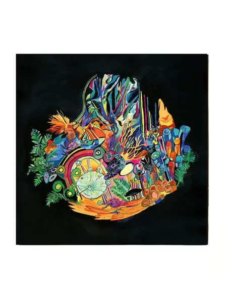 NÉ RECORDS Kaitlyn Aurelia Smith – Ears