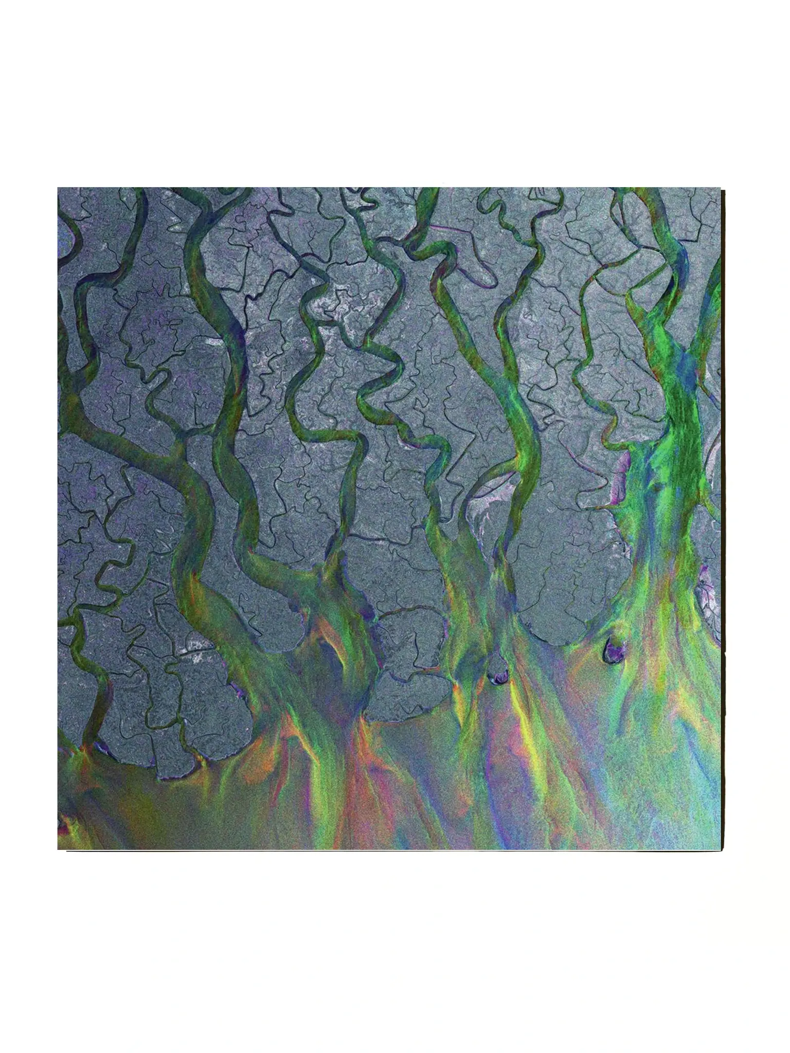 NÉ RECORDS Alt-J – An Awesome Wave