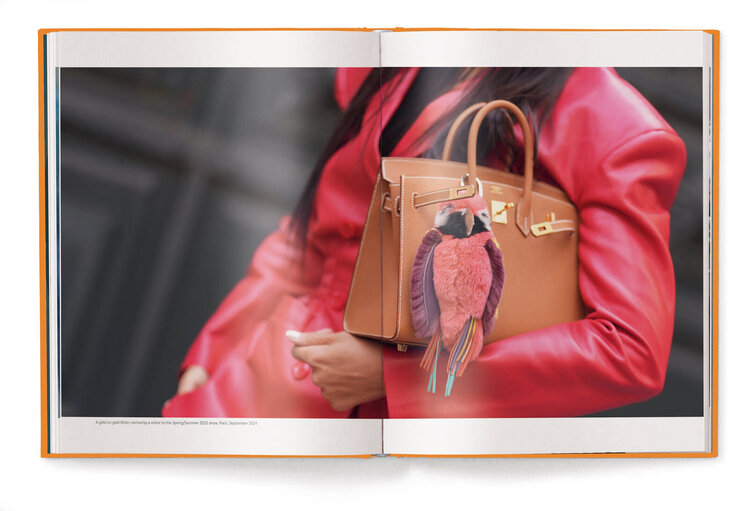 Koffietafelboek The Ultimate Guide to Hermès Bags