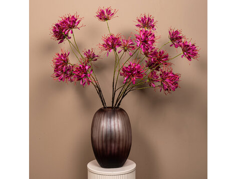 PTMD Collection Spider Flower Burgundy Queen kunstbloem bordeauxrood
