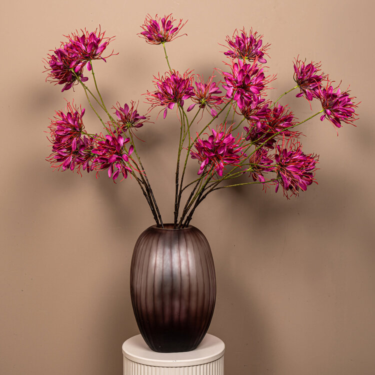 PTMD Collection Spider Flower Burgundy Queen kunstbloem bordeauxrood