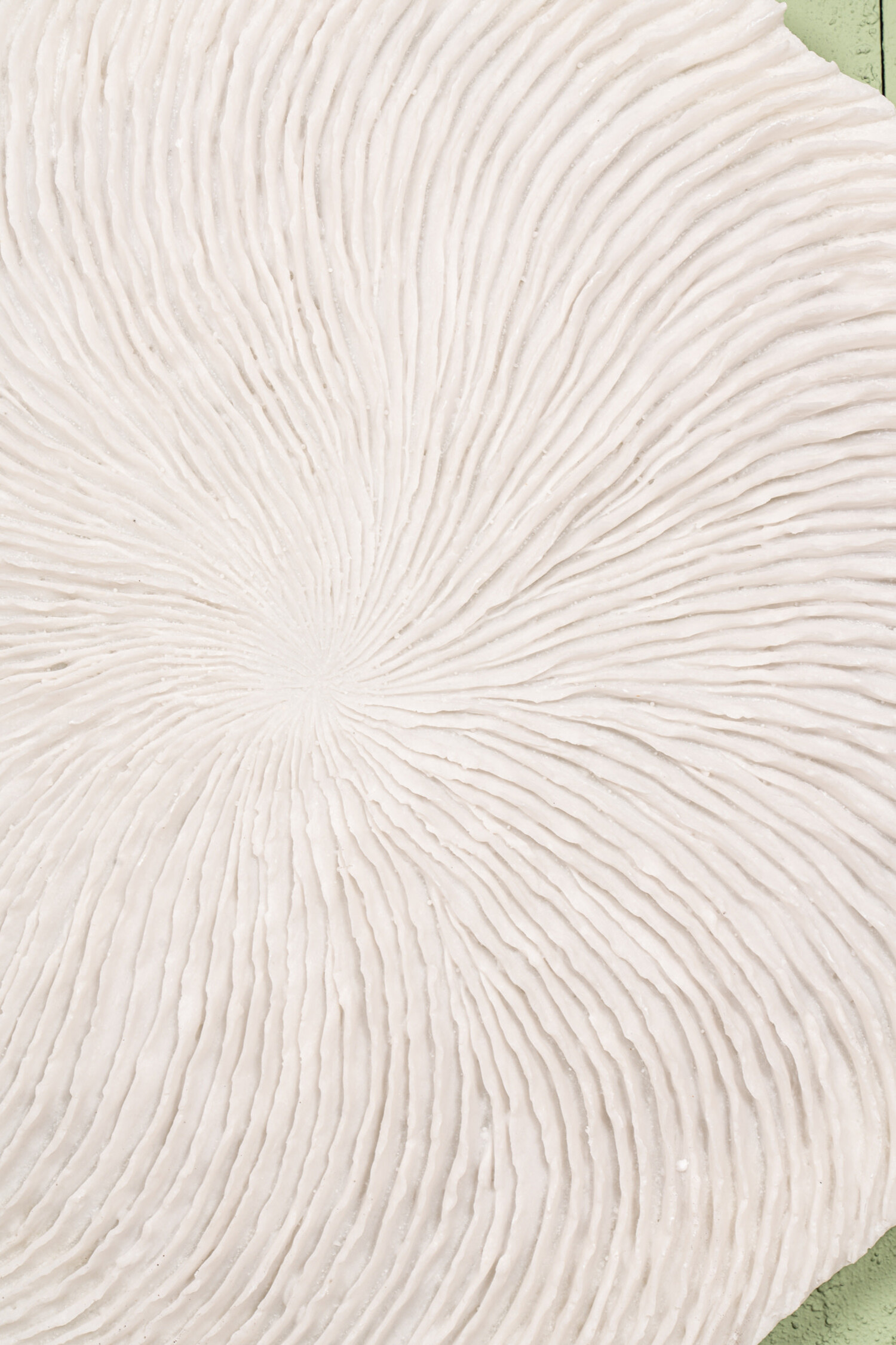 PTMD Collection Kathelle White rond wandpaneel koraalreliëf Medium