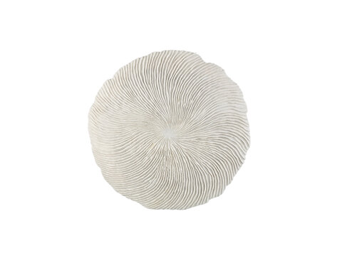 PTMD Collection Kathelle White rond wandpaneel koraalreliëf Large