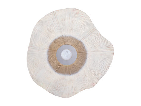 PTMD Collection Rella Beige organisch wandpaneel aluminium center stone Large