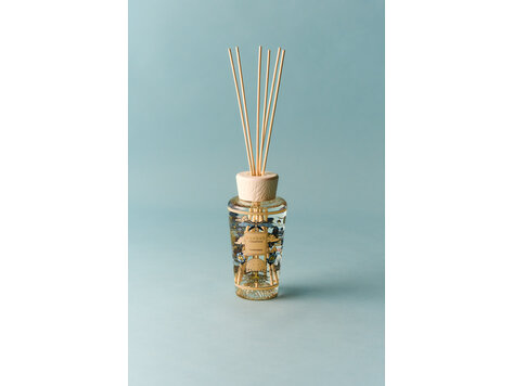 Baobab Collection Diffuser Tomorrowland 2026 My First Baobab 250 ml
