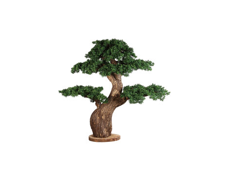 PTMD Collection Kunstboom Grote Dennenboom met echte houten stam en schors