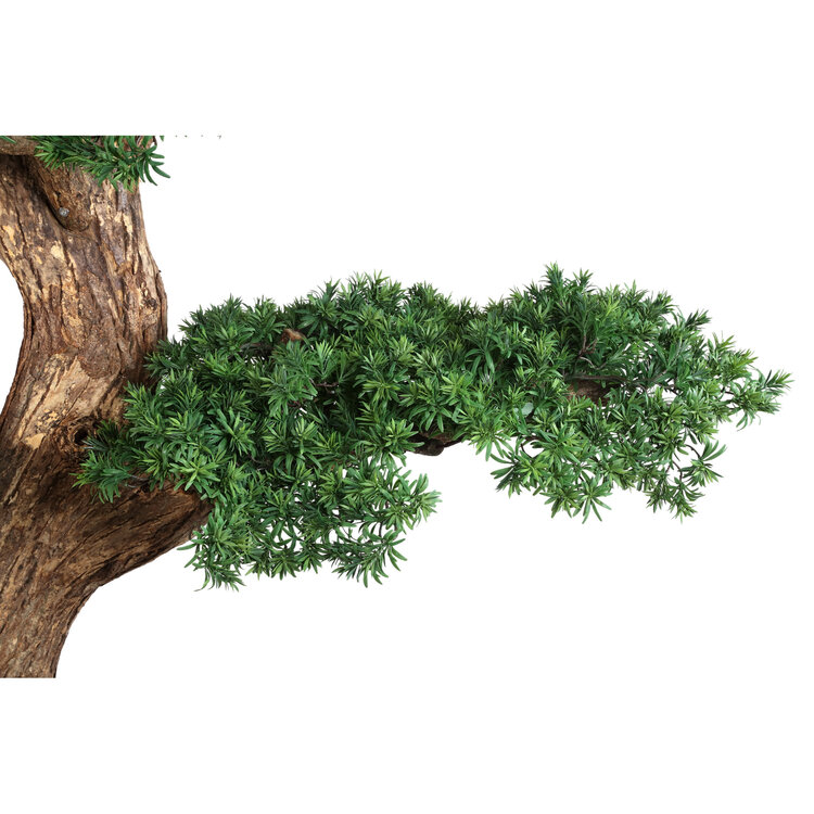 PTMD Collection Kunstboom Grote Dennenboom met echte houten stam en schors