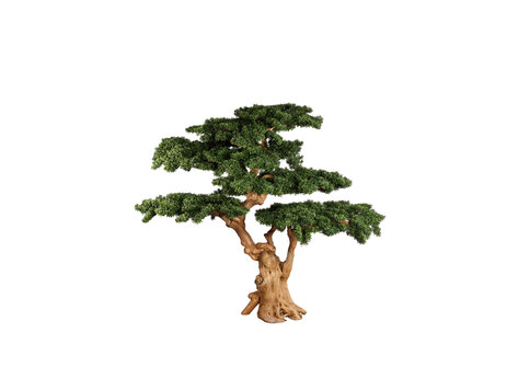 PTMD Collection Kunstboom Grote Dennenboom met echte houten stam