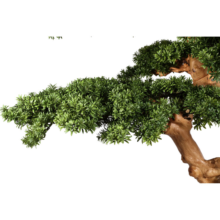 PTMD Collection Kunstboom Grote Dennenboom met echte houten stam