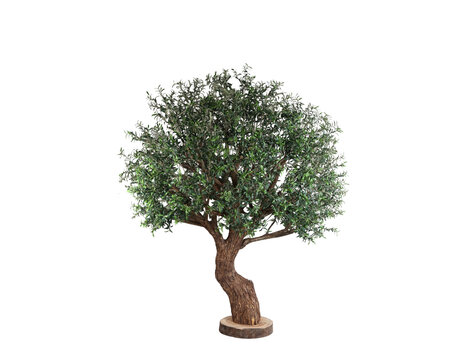 PTMD Collection Kunstboom Grote Olijfboom met echte houten stam en schors