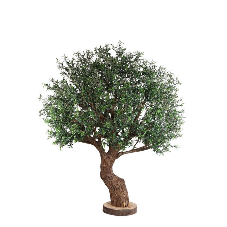 PTMD Collection Kunstboom Grote Olijfboom met echte houten stam en schors