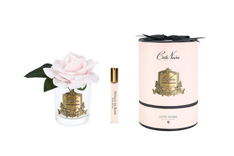Côte Noire French Pink Single Rose in Glas met Parfum Pink Gold Box