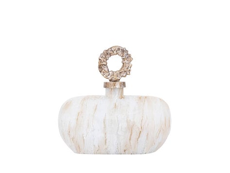 PTMD Collection Alashia Beige decoratie object fles ovaal glas aluminium Small