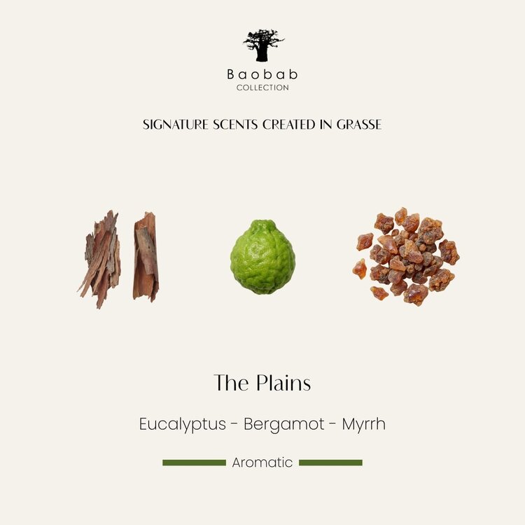 Baobab Collection Geurkaars Calamity Jane The Plains Max 24 Grande